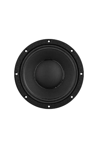 Lavoce Wan082.50 8" 250W Çıplak Hoparlör