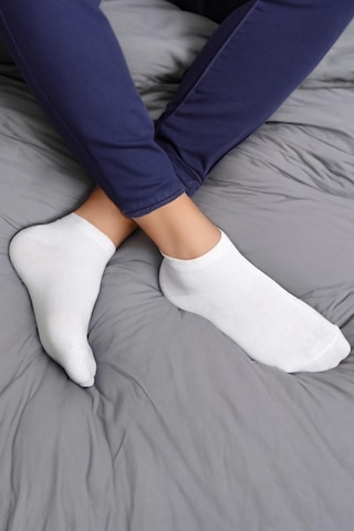 Bilek Boy Pamuklu Patik Çorap Unisex 6 Çift 001