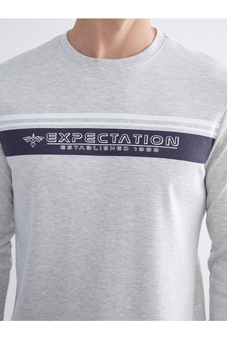 LC Waikiki Lc Waıkıkı Bej Bisiklet Yaka Baskılı Erkek Sweatshirt