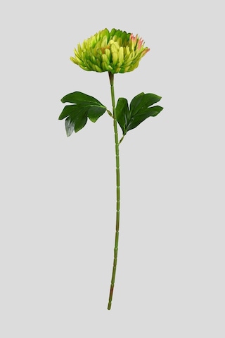 Yeşil Yapay Kasımpatı Çiçeği Tek Dal Lüx İpeksi Dokulu 55 Cm