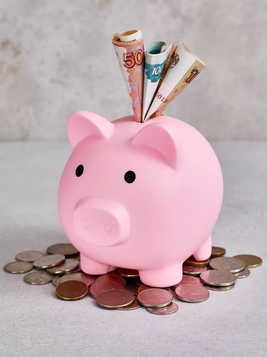 Familylove Çocuklar İçin Para Ve Madeni Para Kumbarası Domuz 182323685