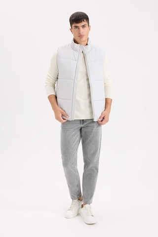 DeFacto Regular Fit Dik Yaka Fermuarlı Şişme Yelek D6286AX25SPGR503