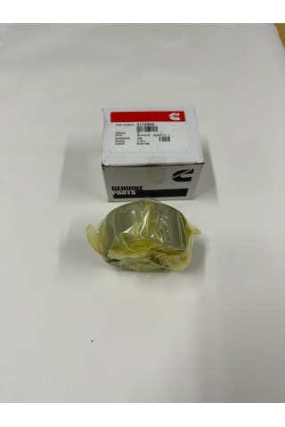 Cummins Eksantirik Baş Yatak