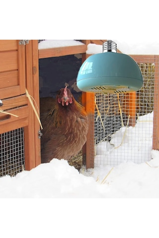 Tavuk Kümesi İçin Asılı Isıtma Lambası, Kuluçkahane İçin Doğrudan Isıtma Lambası, Dış Mekan Kafesleri İçin Isıtıcı, Evcil Hayvan Mağazaları İçin Elektrikli Isıtıcılar-fa-