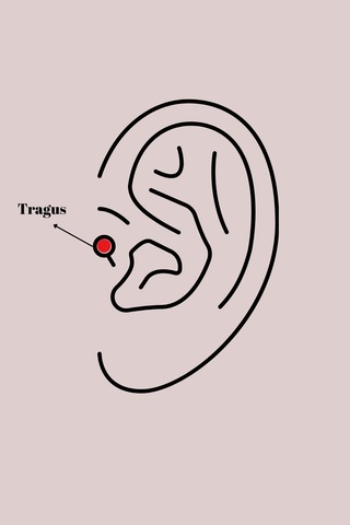 316l Çelik Gold Renk Zirkon Taşlı Çiçek Model Tragus Piercing Altın