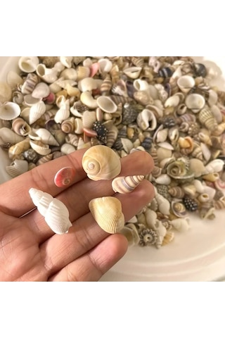 Willowhaven 120g Renkli Mini Reçin El Yapımı Deniz Kabuğu Kum Mix Akvaryum Dekor Dıy Tırnak Sanatı
