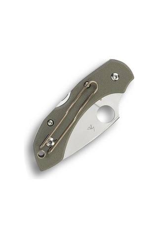 Spyderco Dragonfly Foliage Green G-10 Plainedge Kamp Çakı Yeşil