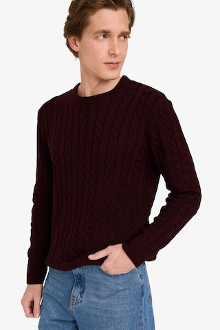 Defacto Standart Fit Bisiklet Yaka Saç Örgülü Triko Kazak G6388ax25cwbr230 Bordo-br230