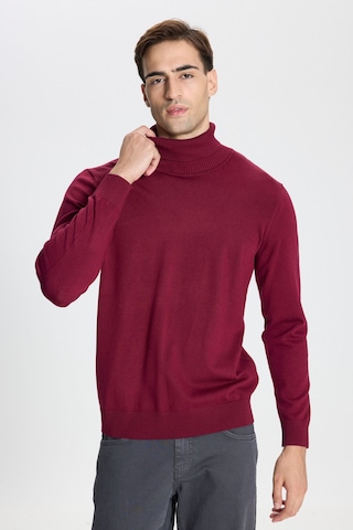 AC&Co / Altınyıldız Classics Erkek Bordo Standart Fit Normal Kesim Tam Balıkçı Yaka Triko Kazak Bordo