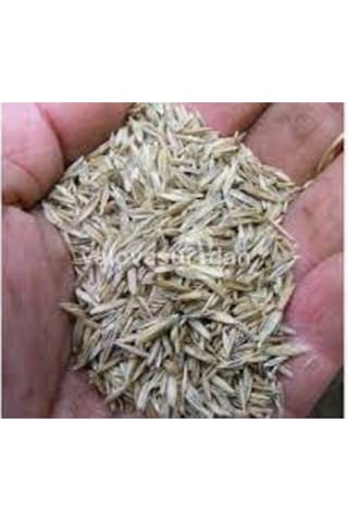 Çim Tohumu Ithal 3lü Karışım Özel Çim Tohumu 1kg