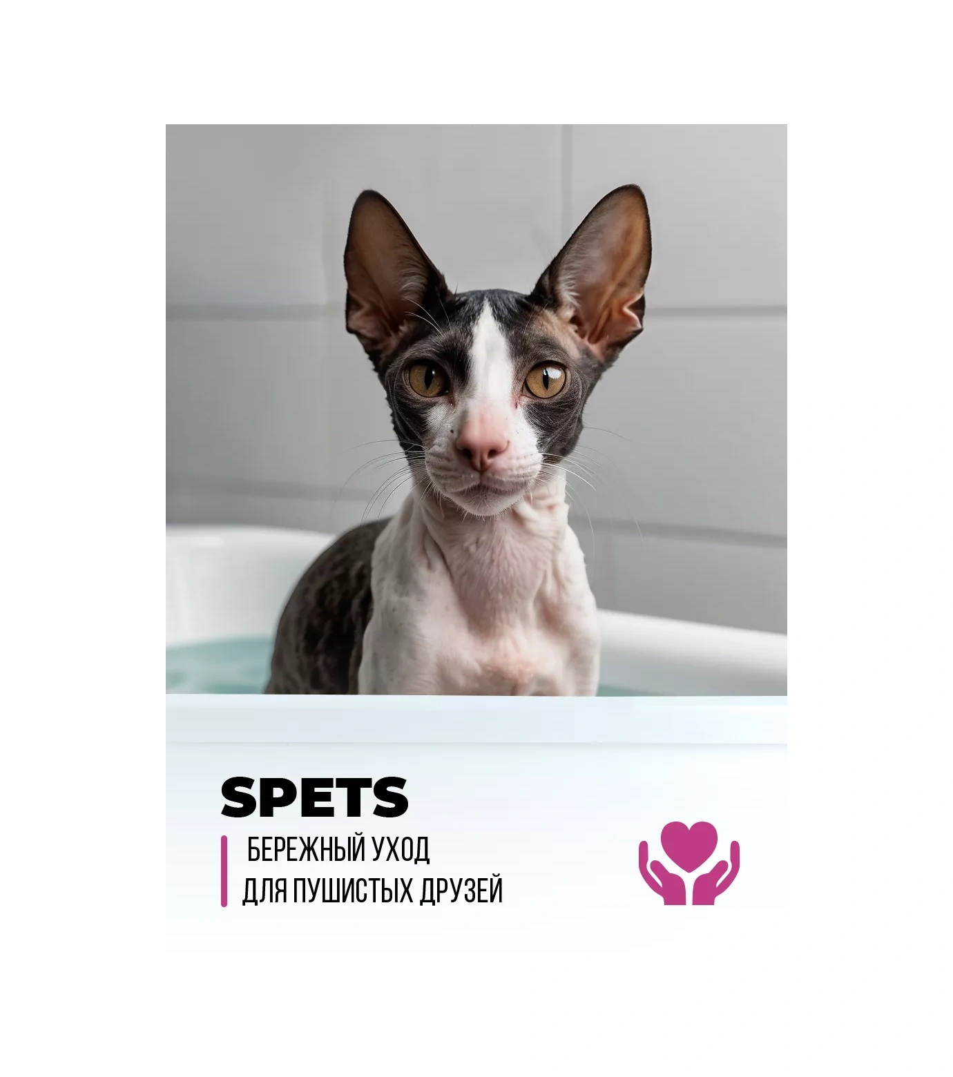 Spets Sarı Saçsız Ve Kısa Tüylü Kediler İçin Shampoo 259023219