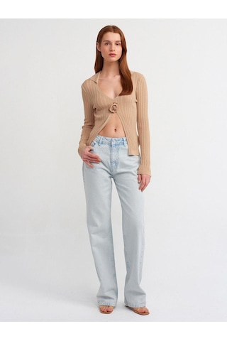Dilvin 10526 Polo Yaka Çiçek Detaylı Transparan Triko Bluz-bej-565 Bej