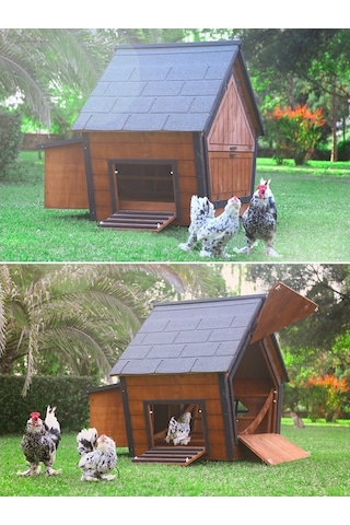Mandu Ahşap Tavuk Kümesi 10 Tavuk Kapasiteli