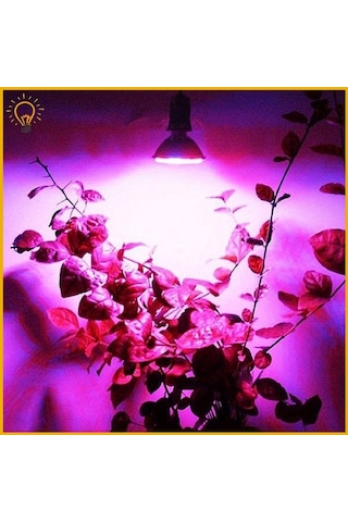 Bitki Gelişimi Hızlandıran Full Spectrum 106 Led Lamba