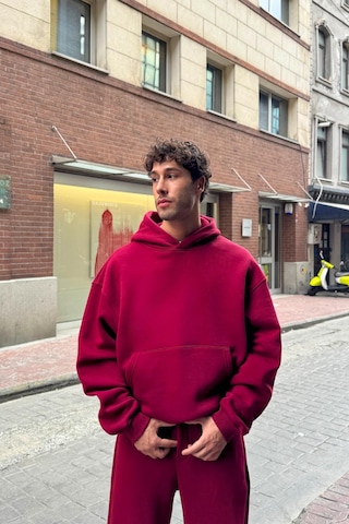 Flaw Basic Hoodie Bordo Bordo