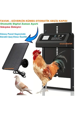 Tavuk-güvercin Kümes Otomatik Geçiş Kapısı Otomatik Digital Zaman Ayarlı - Güneş Panelli