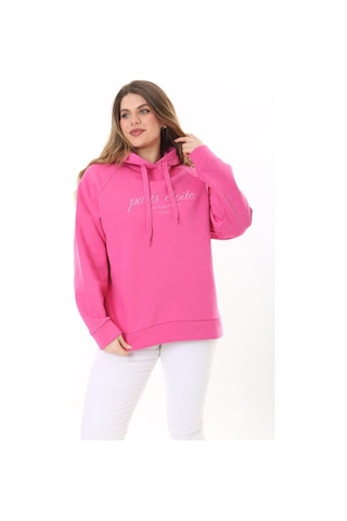 Kadın Büyük Beden Bebe Mavisi İçi Şardonlu 3 İplik Kumaş Kapşonlu Sweatshirt 65n37575-pembe Pembe
