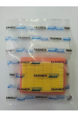 Holzfforma Stıhl Fs 120- Fs 450 İçin Hava Filtresi 210258227