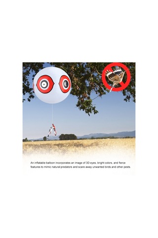 Ximistore9 Bahçe Kuş Engelleyici Balon - 3d Göz Desenli, Siyah, Dayanıklı Pvc Materyal