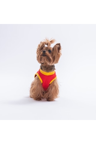 Red-kırmızı Small Things Tişört Kedi Köpek Tişörtü-kedi Köpek Kıyafeti