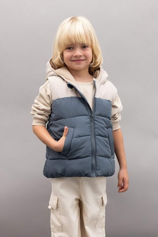 Defacto Erkek Bebek Su İtici Polar Astarlı Blok Renk Desenli Kapüşonlu Şişme Yelek A2848A524AUGR314 Gri