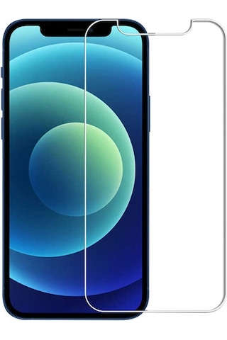Apple Uyumlu iPhone 13 Pro Zore Nano Micro Temperli Ekran Koruyucu