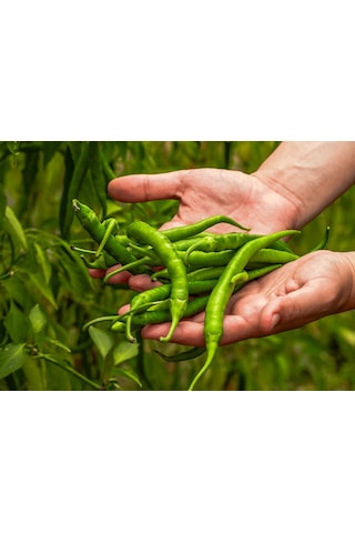 Tatlı Çıtır Biber 250 Gr