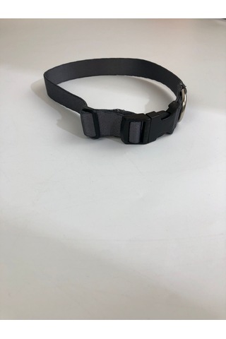 Mita Ayarlanabilir Köpek Boyun Tasması Antrasit