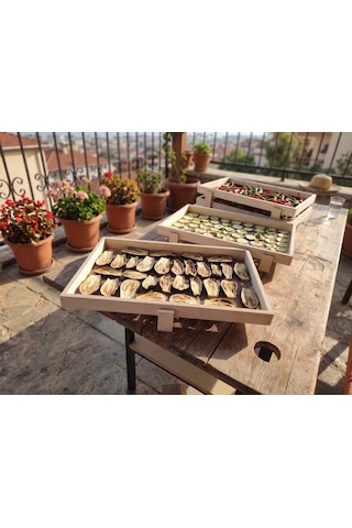 Limon Dekor Doğal Huş Ağacı İstiflenebilir Gıda Kurutma Teli - 2'li Set 52x35 Cm - Ahşap Meyve, Sebze Ve Ot Kurutmalık Tepsisi Natürel
