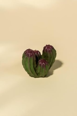 Peanut Kaktüs Silikon Mum Kalıbı 50 x 22