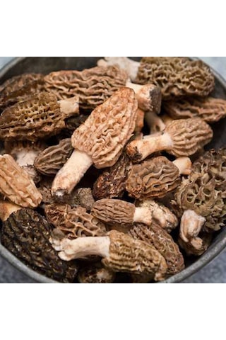 Kuzu Göbeği Mantarı Deneme Kiti Mantar Deneme Kiti 2 Adet