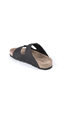 Dexter Ag22232-10 Kadın Terlik Çok Renkli