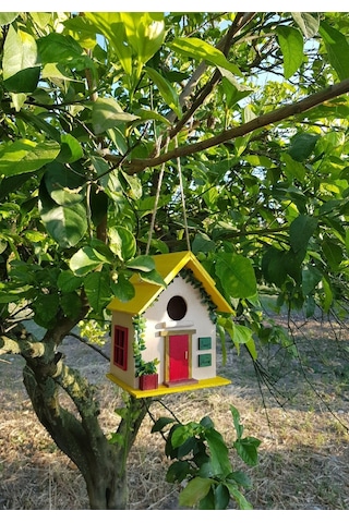 El Yapımı Ahşap Kuş Yuvası Dekoratif Kuş Evi Bahçe Balkon Dekorasyon Kayın Ağacı Vernikli Sarı