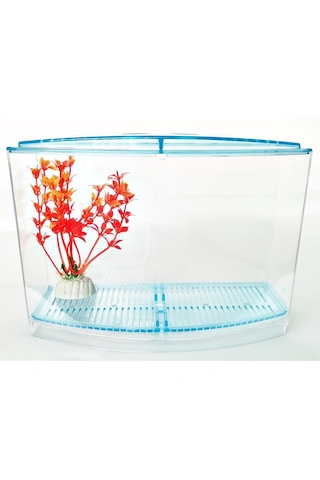 Bölmeli Izgaralı Betta Beta Kabı Tankı Akvaryum 1800 ML 19 x 8 x 13 CM Mavi