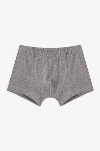 Penti Erkek Çocuk Blue Solid 3lü Çok Renkli Boxer