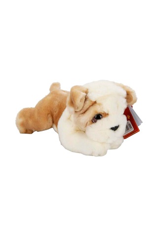 Yumuşacık Dokusu Ve Sevimli Yüzüyle Bulldog Peluş, Kalpleri Fethediyor