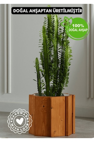 Halohope El Yapımı Ahşap Büyük Sekizgen Dekoratif Modern Kaliteli Bahçe Balkon Saksı Saksılık Stant Çiçeklik
