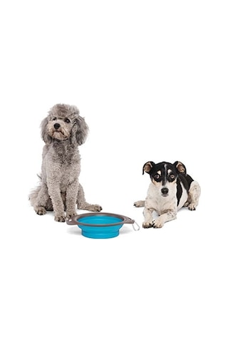 M-pets Kedi Ve Köpekler İçin Katlanır Silikon Mama Ve Su Kabı Mavi 420 Ml 244-51019.02