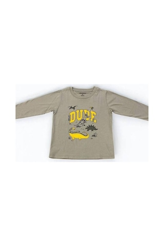 Divonette Erkek Çocuk Dinazor Baskılı Uzun Kollu T-shirt-15088 Gri