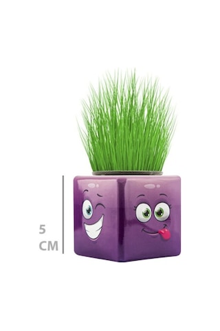 Büro Ev Ofis Dekoru İçin Mini Emoji Figürlü Küp Çim Adamı