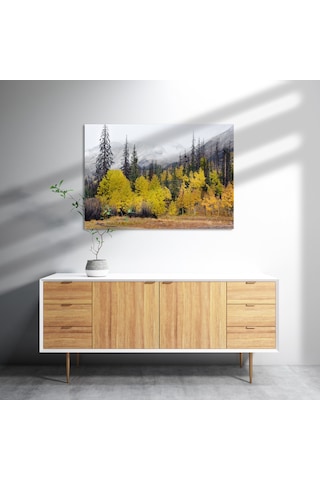 Cakasepetim Sonbahar Rengi Ağaçlar Ve Arkada Karlı Dağlar Ahşap Mdf Tablo