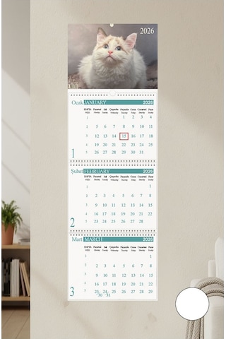 2026 Duvar Takvimi Kedi Resimli 3 Aylık Gemici Takvimi Hayvan Resimli Jumbo Boy Askılı Spiralli Takvim Yeni Yıl Takvim