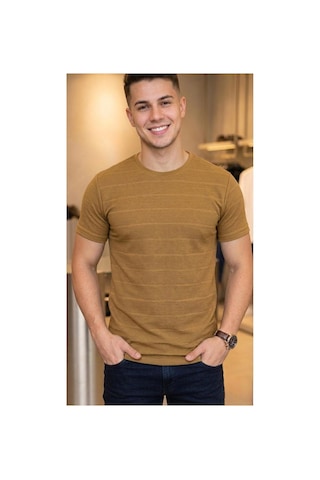 Regata Çizgi Desenli Bisiklet Yaka Regular Fit Örme İnce Triko Erkek T-shirt Camel