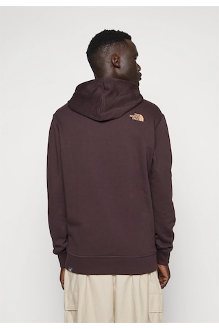 The North Face M Standard Hoodıe - Eu Nf0a3xydkot1-kahverengi