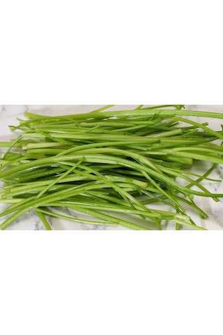 Kaldirik Hoda Ispıt Otu Sapı 500 G