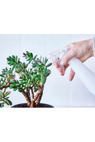 Bahçe Bakımı İçin 350ml Çok Amaçlı Spreyli Şeffaf Sulama Şişesi