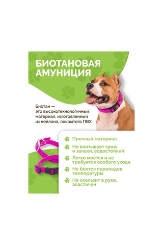 Ooo "firma Kaskad" Köpek Tasması 343182173 Pembe