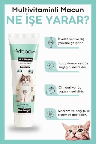 Vitpaw Multi Paste 100 G