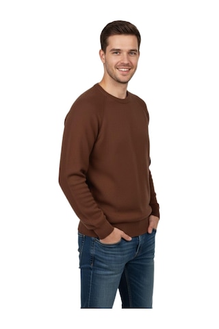 Erkek Spor Reklam Kol Kazak Regular Fit Bgl-st04949 Açık Kahverengi