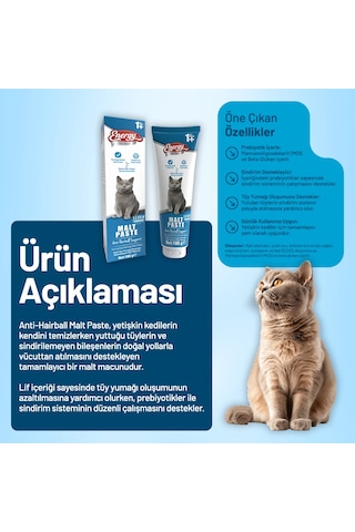 Yetişkin Kedi Malt Paste 100 G - 48 Adet